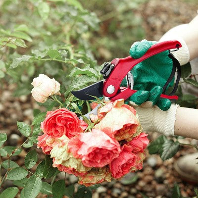 Sekator ogrodowy typu bypass z ostrzami ze stali