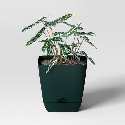 Stojący wyrywacz chwastów z pazurami do korzeni